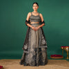 Grey Applique Lehenga in Tissue