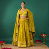 Neon Green Cutdana Lehenga in Tissue