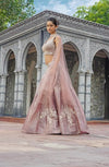 Brown Thread Embroidery Lehenga in Tissue